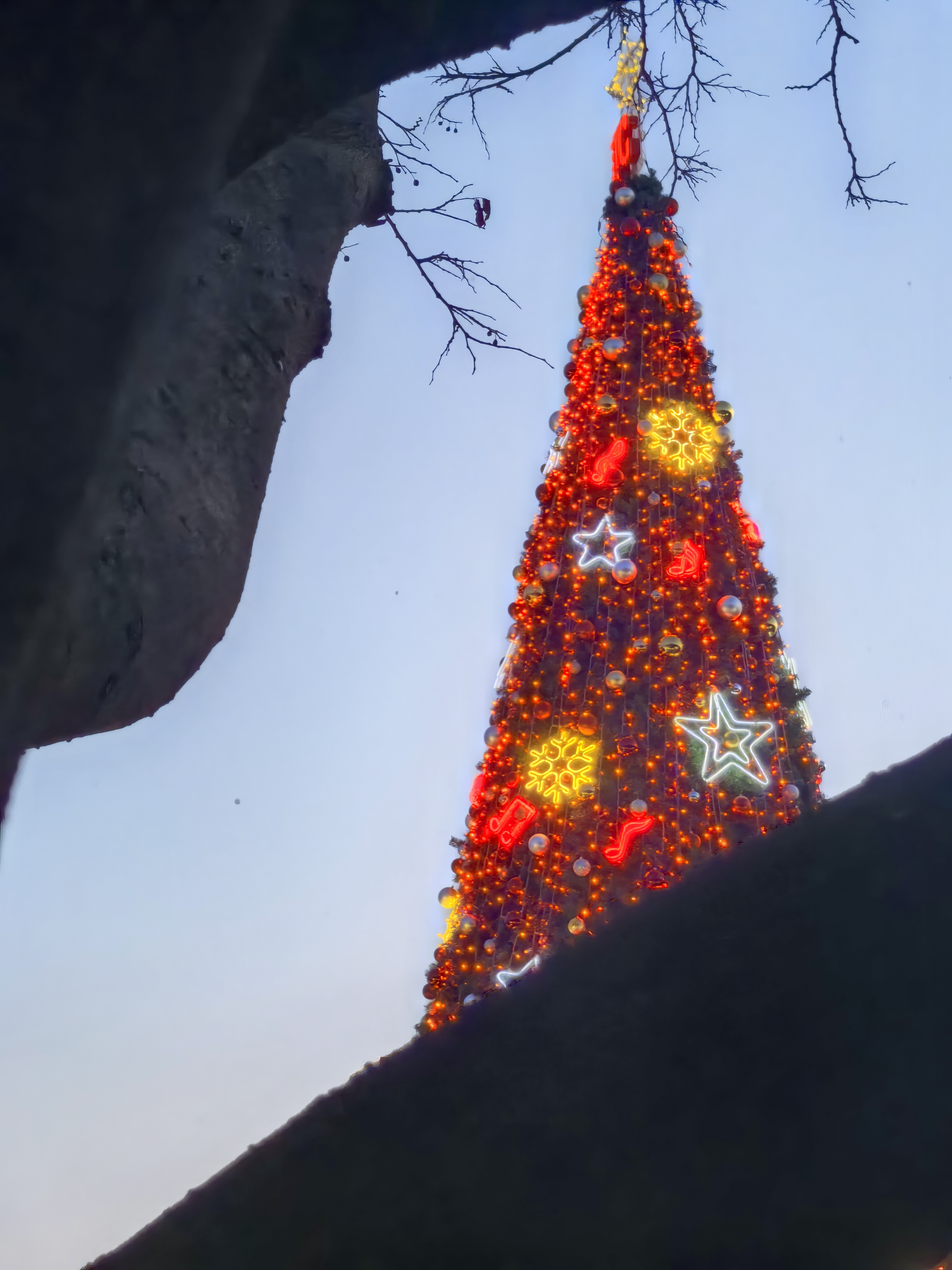 2025年12月25日雅思真题发布